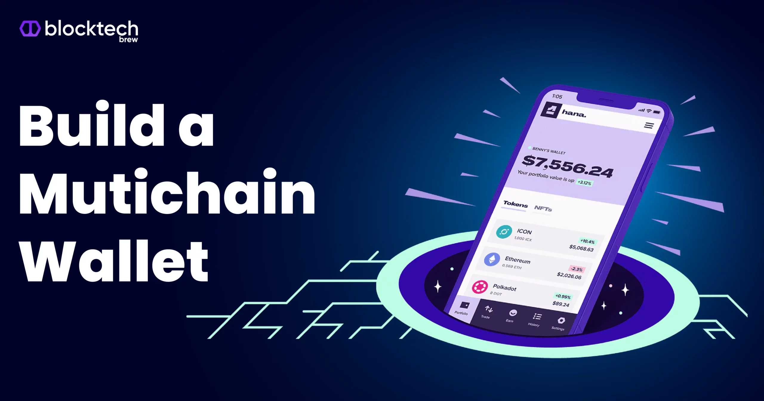 NFTs in a multi-chain DeFi wallet interface
