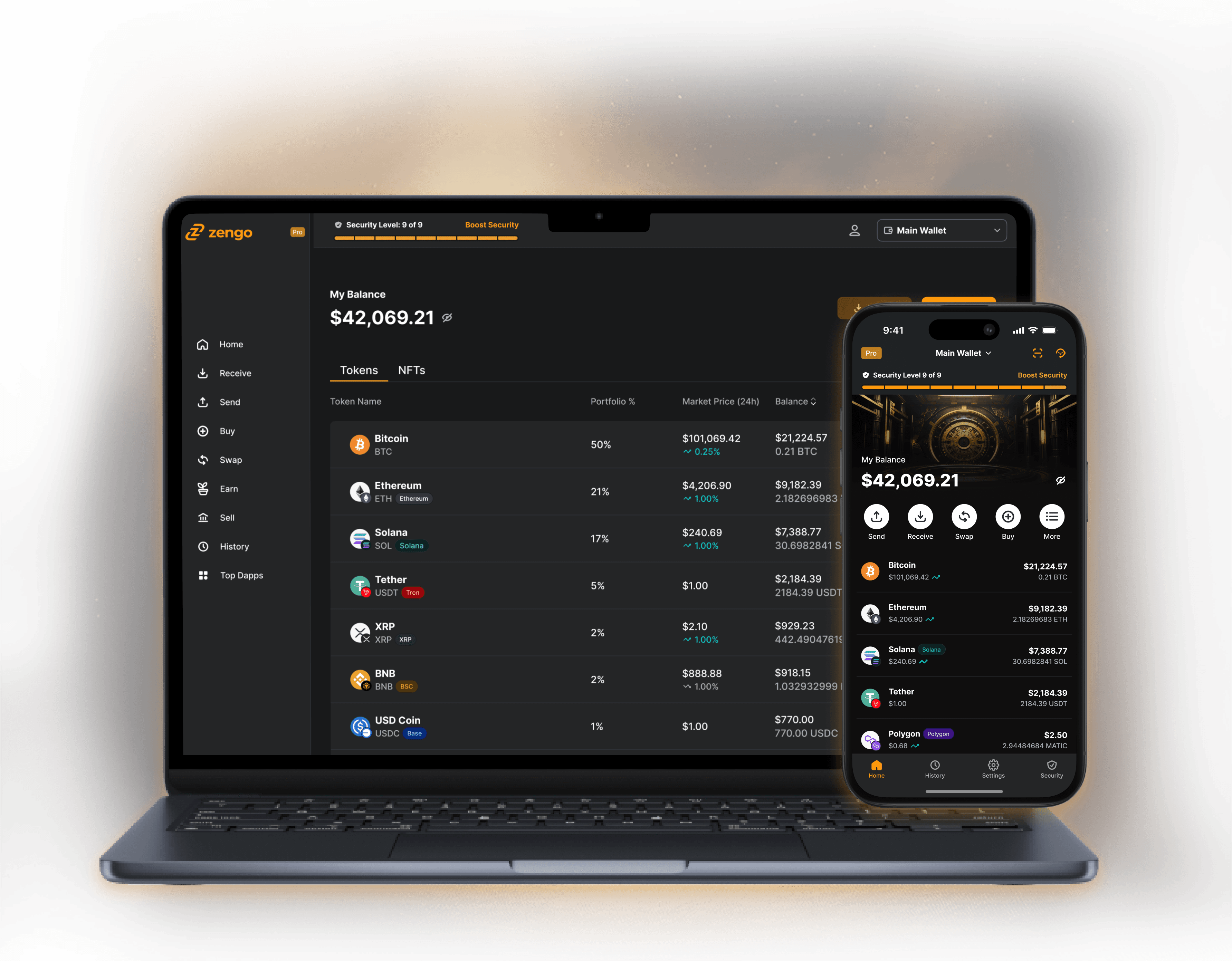 multi-chain wallet balance interface